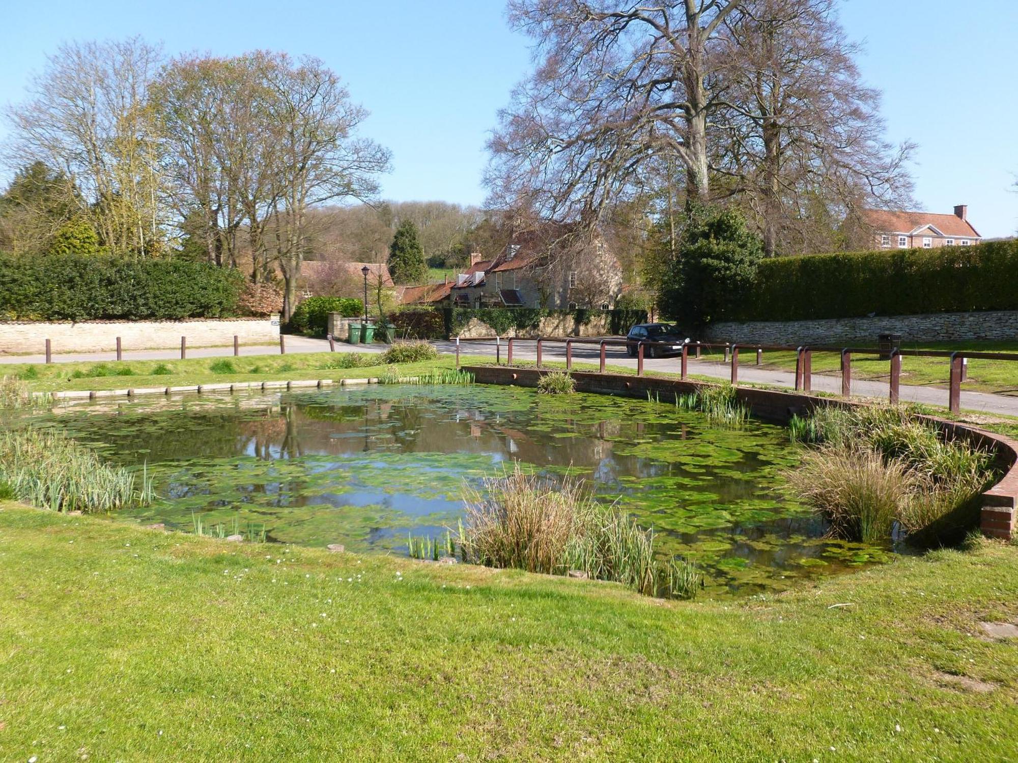 Brantingham Pond View Cottage מראה חיצוני תמונה